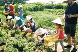 Promotion de l'agrotourisme à Ho Chi Minh-Ville