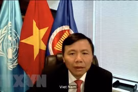 Le Vietnam participe au vote de nouveaux juges à la Cour internationale de Justice