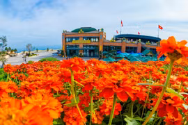 Printemps coloré au sommet de la montagne de Ba Den, dans la province de Tay Ninh