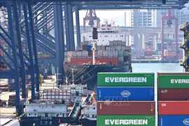 Les entreprises vietnamiennes ont encore beaucoup de marge de coopération à Hong Kong (Chine)