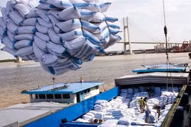 Montée en flèche des exportations vietnamiennes de riz en Indonésie en dix mois