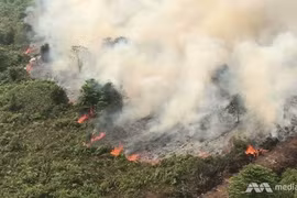 Les incendies de forêt compliquent le combat contre le COVID-19 en Indonésie