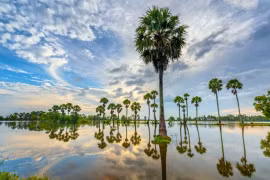 De belles images du Vietnam dans la presse internationale