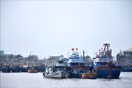 Planifier le système des ports de pêche et des zones d'abri pour les navires de pêche