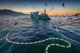  Lutte contre la pêche INN: tout a été mis en oeuvre pour faire retirer le «carton jaune» de la CE
