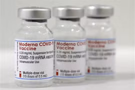 COVID-19 : le Vietnam approuve d'urgence le vaccin Moderna