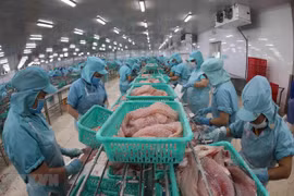 Promouvoir l'expansion du marché et la marque de pangasius vietnamien en Australie