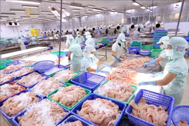 Exportations de produits aquatiques en hausse de 3% au premier trimestre