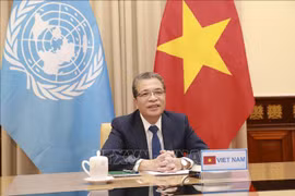 Le Vietnam promeut une coopération pratique et efficace avec le Moyen-Orient et l'Afrique
