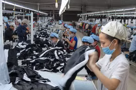 Croissance des échanges commerciaux Vietnam - R. tchèque en neuf mois