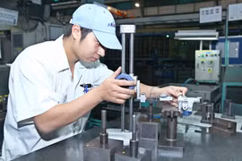 Le CPTPP contribue à stimuler les exportations de la province de Vinh Phuc 