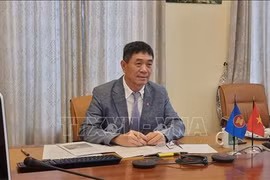 Le Vietnam participe à la 5e réunion Comité de partenariat pour le développement ASEAN-Allemagne 