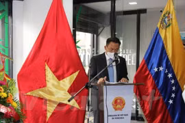 Célébration des 31 ans des relations diplomatiques Vietnam-Venezuela