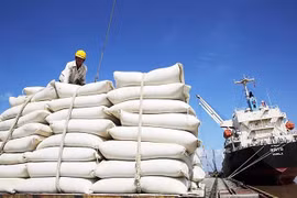 Les Philippines, premier importateur de riz vietnamien en neuf mois