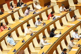 La 9e session de l'AN : affaires ethniques et investissements sous forme de PPP au débat