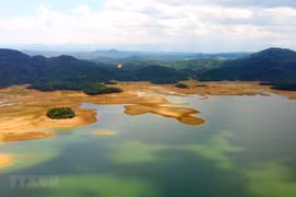 Le Vietnam s'efforce de protéger les zones humides - «berceau» de la biodiversité