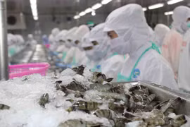 Les exportations nationales de produits agricoles et aquatiques débutent en fanfare