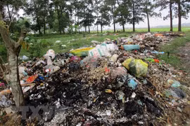 Vinh Phuc oeuvre pour résoudre le problème des déchets plastiques 