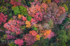 Beauté hivervale dans la province frontalière de Cao Bang