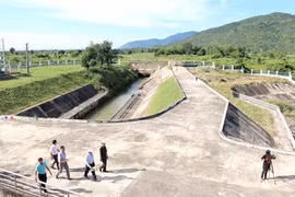 Binh Thuân mise sur l'irrigation pour développer l'agriculture