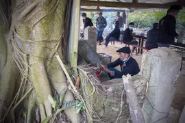 Le culte du génie de la forêt des Dao rouges