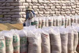 Le riz vietnamien à la conquête des marchés exigeants