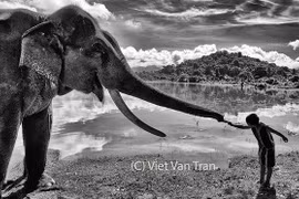 Un photographe du journal Lao Dong a remporté deux prix internationaux