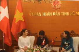 Ha Nam promeut les relations de coopération dans la production verte avec le Danemark