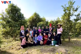 Le tourisme agricole tout feu tout femmes à Binh Liêu
