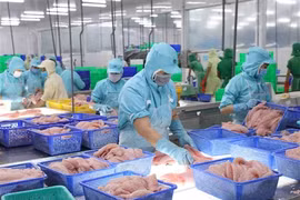 Les pangasius et les crevettes vietnamiens s’exportent bien en Chine