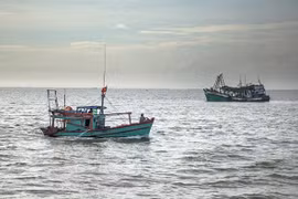 La gestion des bateaux de pêche par satellite pour voir la vie en vert