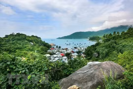 Quang Nam, une destination verte