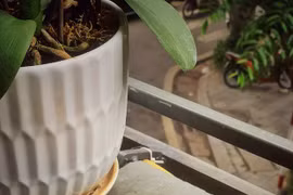Le Vietnam parmi les 10 pays ayant une culture du café unique