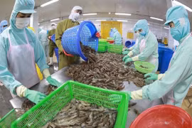 Les produits aquatiques vietnamiens cartonnent sur les marchés étrangers