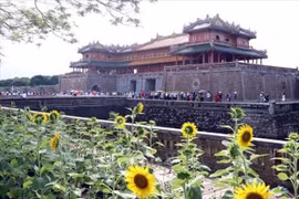 Thua Thien-Hue accueille environ 47.000 visiteurs pendant les vacances du Têt