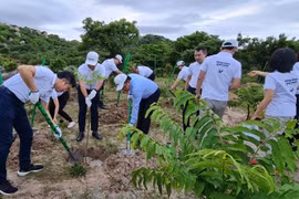 Plantation de 12.000 arbres dans le parc national de Nui Chua 