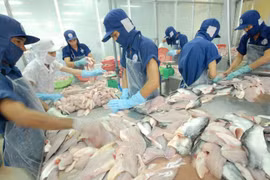 Les exportations de pangasius vers l’ASEAN en hausse de 87% en 11 mois