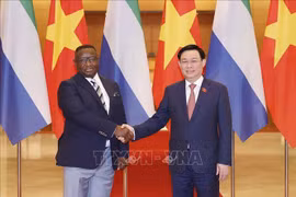Entrevue entre Vuong Dinh Hue et Julius Maada Bio