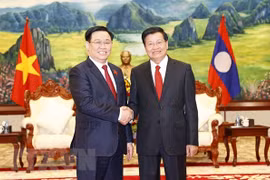 Poursuite à cultiver et développer la relation spéciale Vietnam-Laos