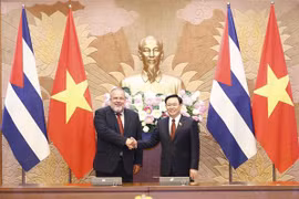 Le Vietnam prend en haute considération les relations de solidarité et d’amitié avec Cuba
