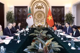 Le Vietnam et l’Algérie s’accordent sur les mesures pour booster leurs liens