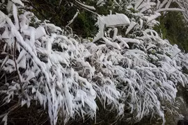 Le froid continue d’apporter des pluies au Nord