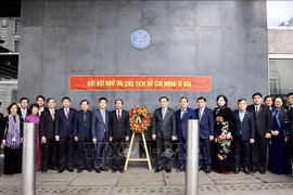 Promotion du rôle du réseau d'amitié Vietnam-Royaume-Uni