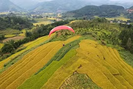 Le Festival de la saison dorée du riz donne rendez-vous à Binh Liêu