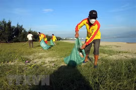 Le Vietnam et les pays de l’ASEAN résolvent le défi des déchets plastiques
