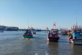 Ba Ria-Vung Tau renforce la lutte contre la pêche illégale, non déclarée et non réglementée