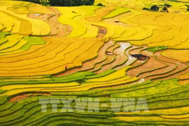 Le Vietnam nominé dans 10 catégories aux World Travel Awards 2022