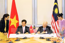 Nouvelles perspectives pour la coopération entre le Vietnam et la Malaisie et Singapour