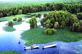 Améliorer la gouvernance environnementale au Vietnam