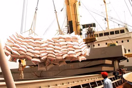Le Vietnam promeut l’export de riz sur le marché hongkongais